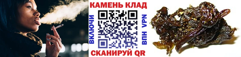 Гашиш Изолятор Свирск