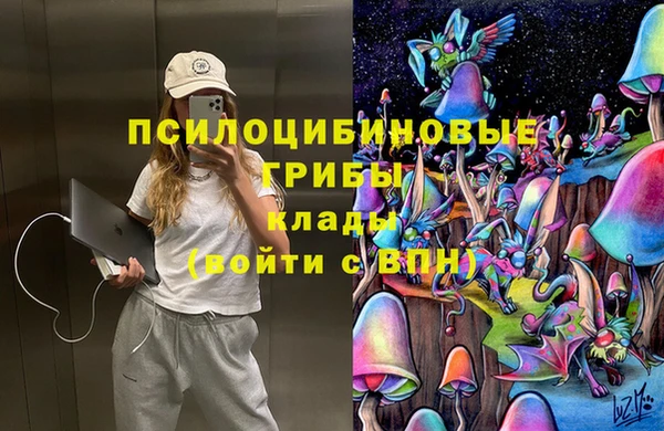 mdpv Армянск